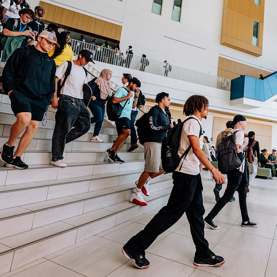 crowd of students walking on stairs of University Hall