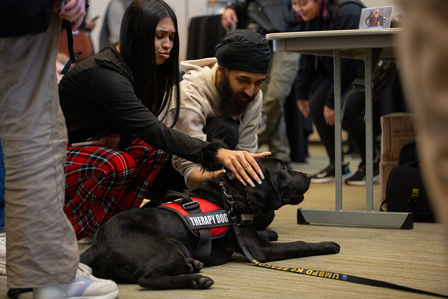 Students pet Beacon