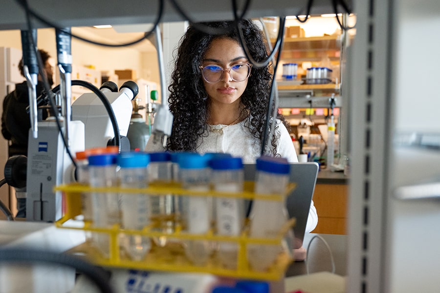 Student in a lab researching fruit flies.