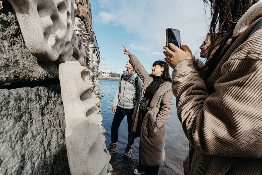 People point and photograph the sea wall in East Boston.