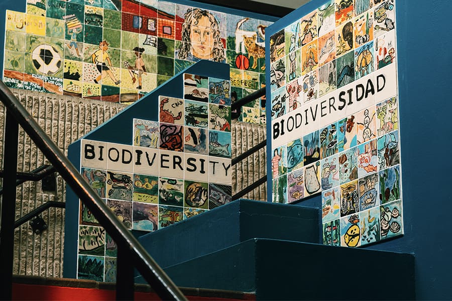 Mural in Boston Public School with tiles illustrating Biodiversity, bilingual,